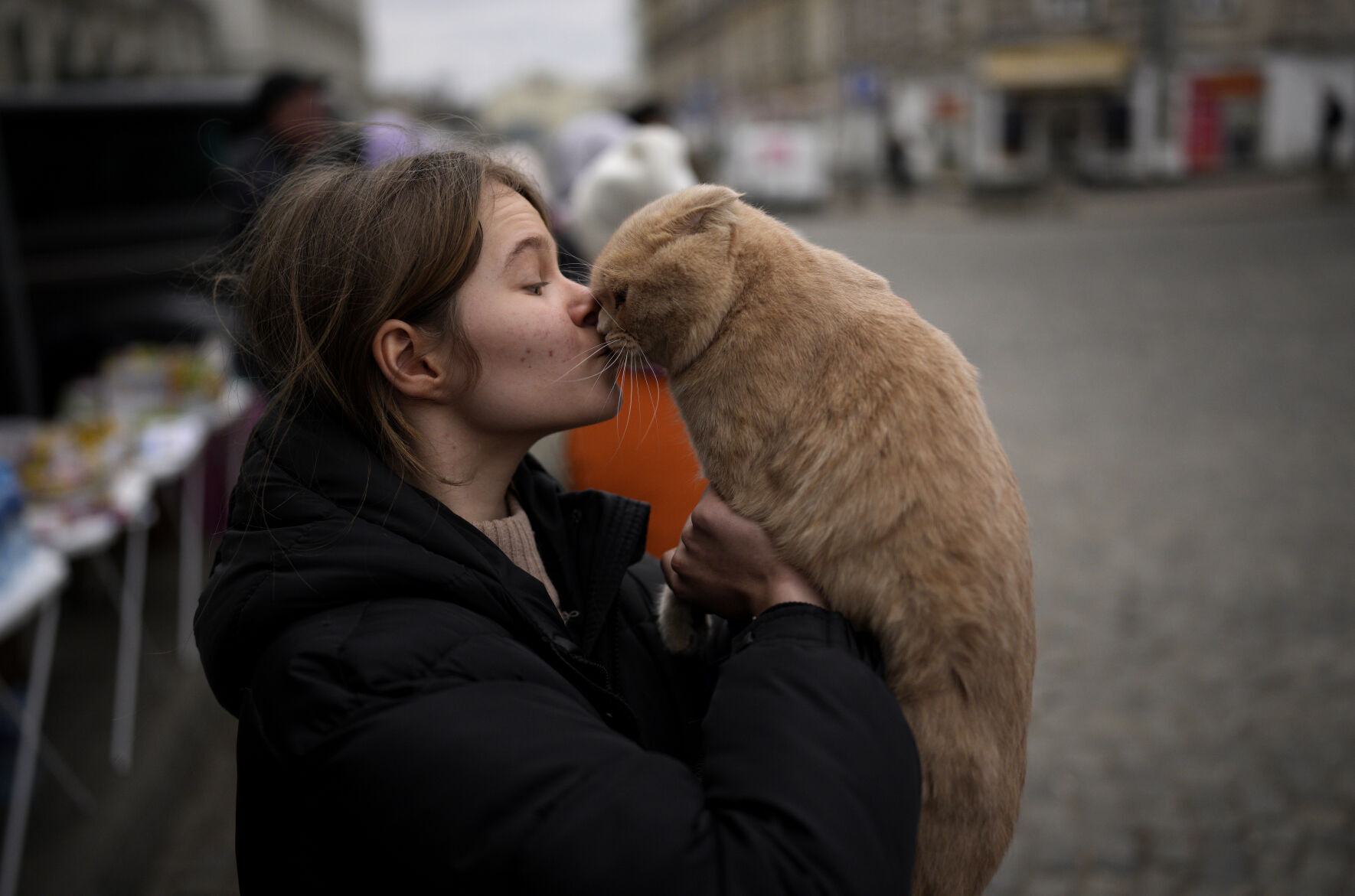 Russia Ukraine War Pets Photo Gallery